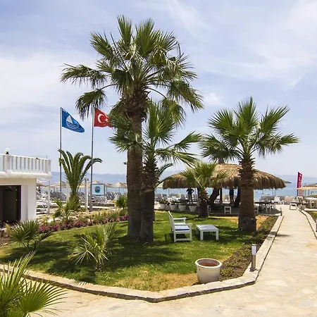 Charm Beach 4* بودروم